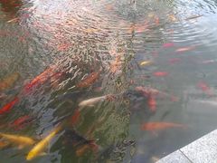 android_upload_pic-南屏步行街
