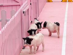 -渔岛海洋度假区