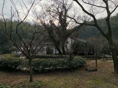 -达蓬山旅游度假区