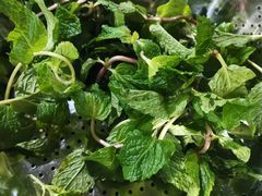 -黔府豆米火锅野菜馆(南马店)