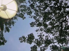 -荔香公园