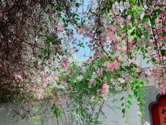 -深圳国际园林花卉博览园