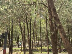 -阳台山自然风景区