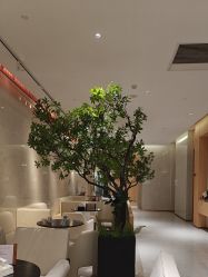 -半岛故事·法儿曼抗衰·indiba中心