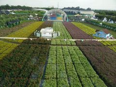 android_upload_pic-广州花之恋城堡酒店