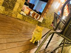 -牛焱·烧肉酒肆(五大道店)
