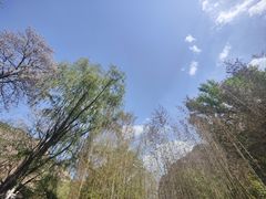 -沕沕水生态风景区