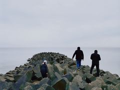 -南汇嘴观海公园