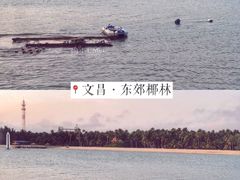 -东郊椰林