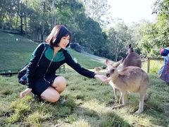 -可伦宾野生动物保护区