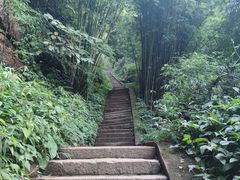 -蜀南竹海景区