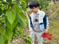 -丝绸小镇荻港古村
