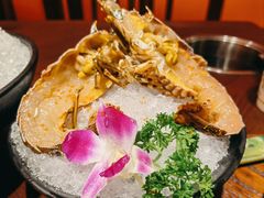 小青龙-东海怡品海鲜豆捞(舟宿夜江店)