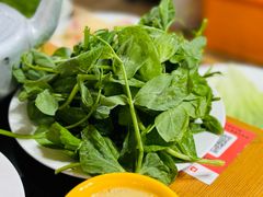 -银同牦牛肉火锅