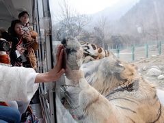 -西安秦岭野生动物园