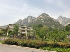 -禅宗少林·音乐大典