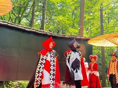 -波尔登森林公园