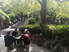 -伯先公园