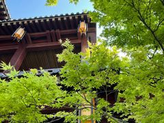 -香积寺