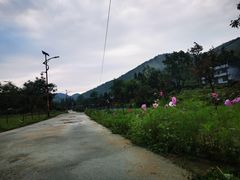 -鹿院坪生态旅游景区