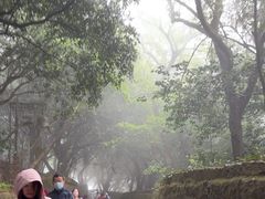 -普陀山慧济禅寺