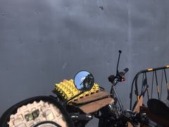 -鸿港海鲜批发市场