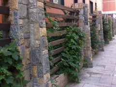 iphone_upload_pic-泰丰公园