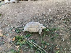 -常州淹城野生动物世界