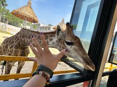 -西霞口神雕山野生动物世界