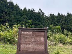 -武陵山森林公园