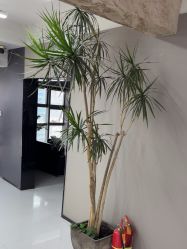 -宫铭烫发染发接发店