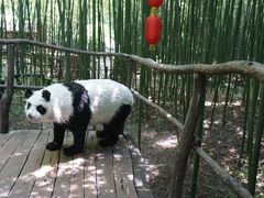 -竹泉村旅游度假区