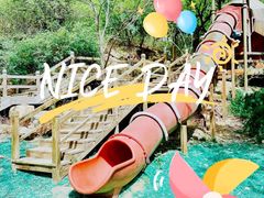 -北京西山国家森林公园