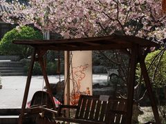 -济南国际园博园