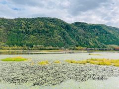 -腾冲北海湿地