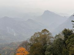 -青城山
