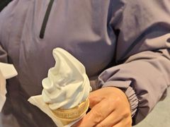 -麦当劳(北京大兴机场二层国内到达(安检外)店)