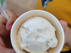 茉莉飘雪-极拉图·现制冰淇淋(大卫城店)