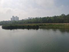 -前关湿地公园
