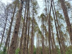 -同里国家湿地公园