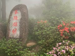 -梧桐山风景名胜区