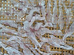 -五华鱼生客家五华菜馆(德明华府店)