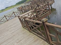 -上海海湾国家森林公园