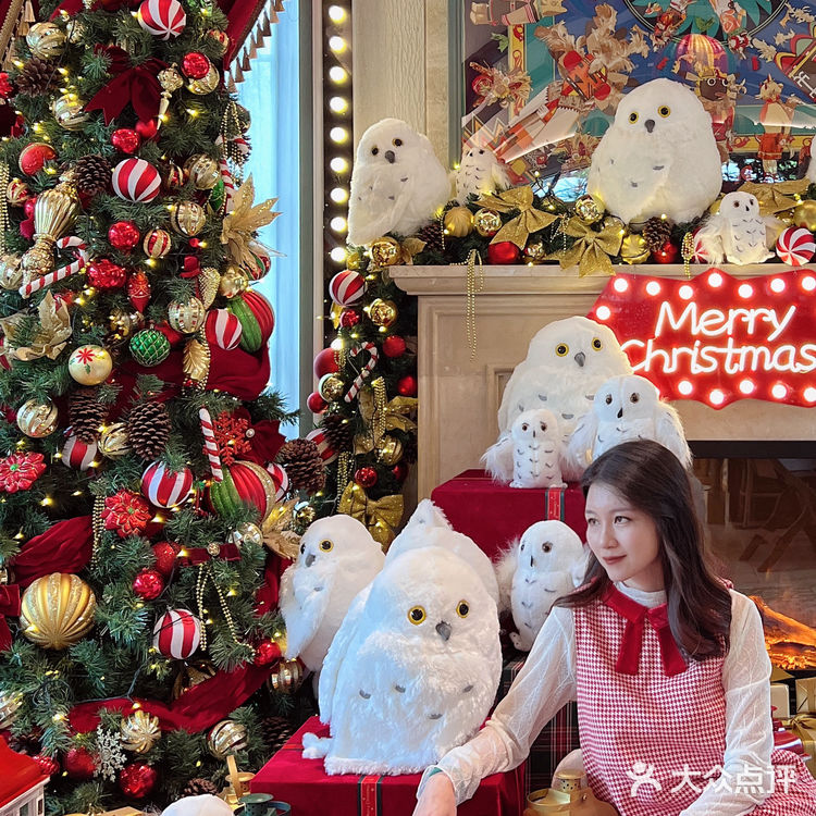 🎄深圳圣诞拍照打卡地