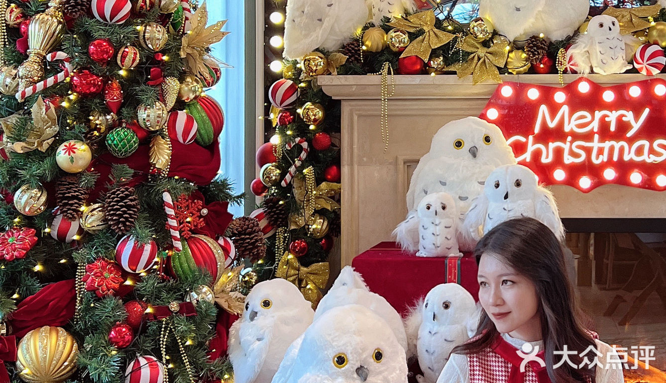 🎄深圳圣诞拍照打卡地