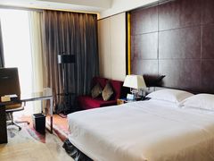 -广州天河希尔顿酒店