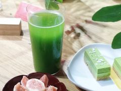 -柴务处·柴犬主题狗咖