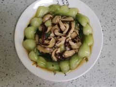 -好孕妈妈月嫂(沈河总店)