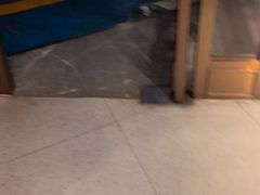 -FAELING PETS美天灵宠物(富力广场店)