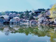 -北京西山国家森林公园